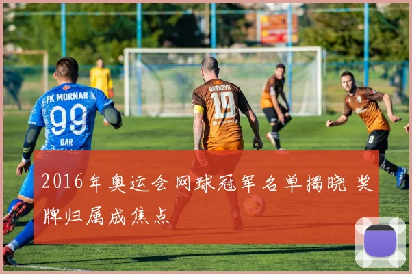 2016年奥运会网球冠军名单揭晓 奖牌归属成焦点