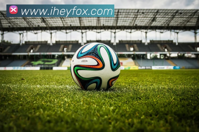 世界杯官网登录app发展历程